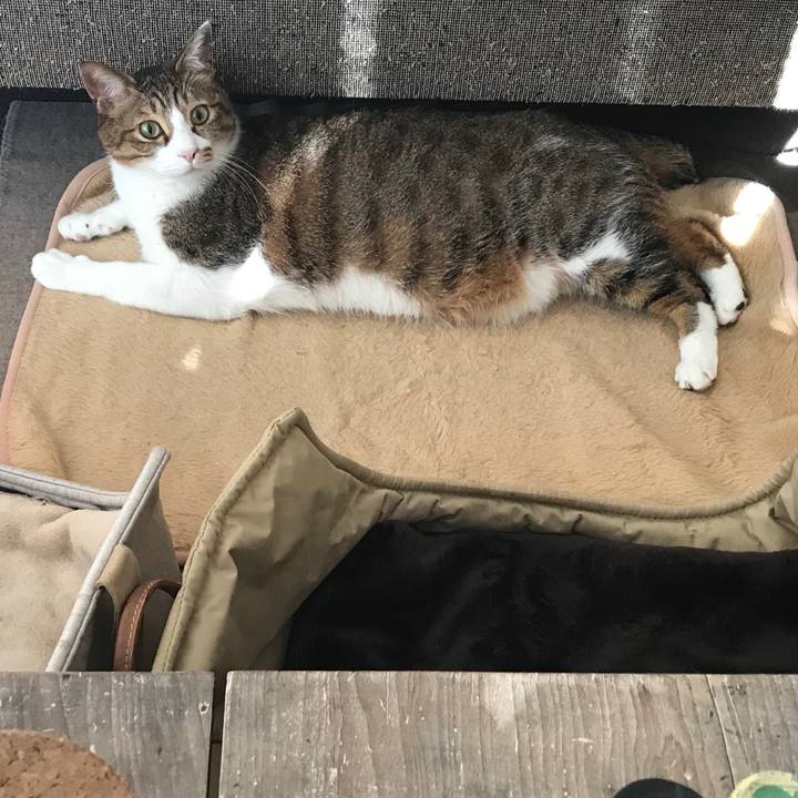 6bd7641f 8c92 409c ae0b fc669bc5be17 1552873646682