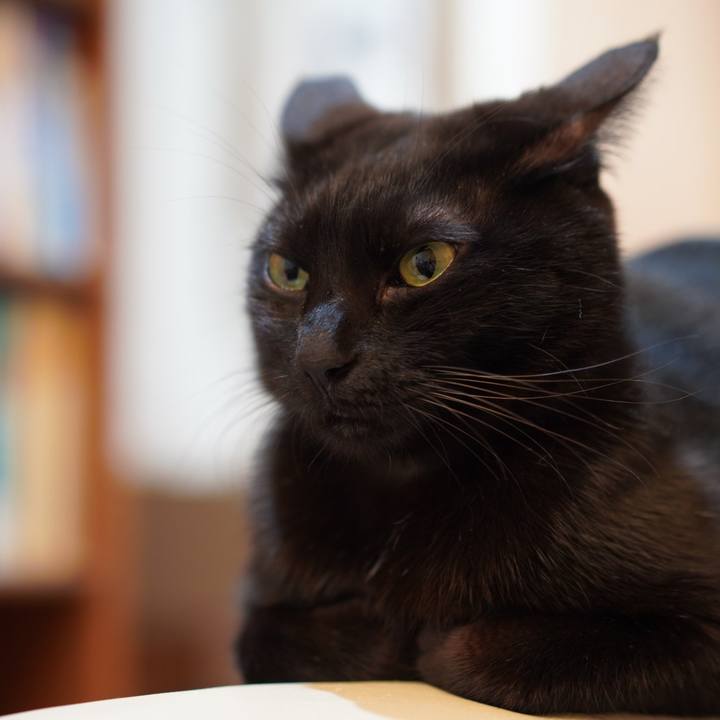 6bd768f7 1476 482a 828a 5a3b8d779428 1577972780825