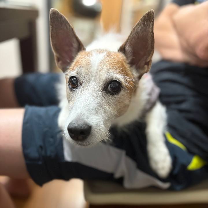 6bd76c90 789a 4131 a6bd 1ac1d700aab8 1754955240702