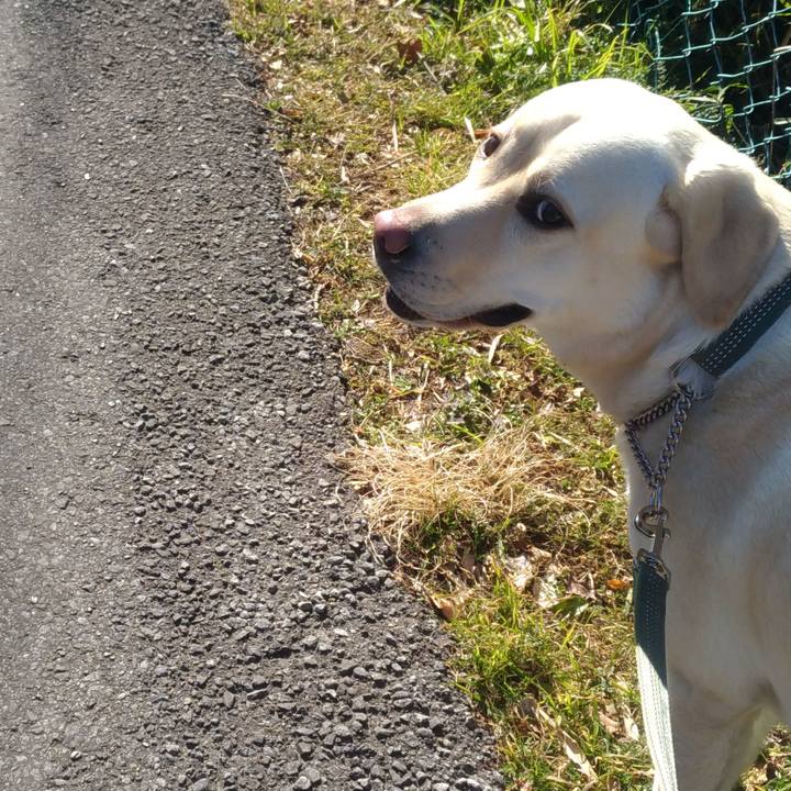 6bd7b261 6d7c 46ae aee9 10eea5c400ec 1518953287658