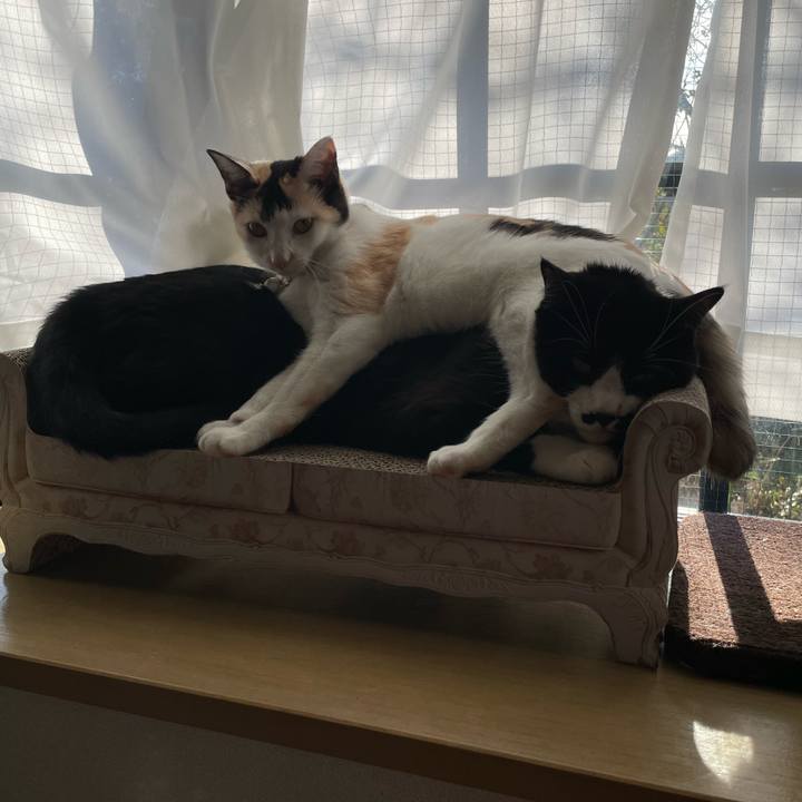 6bd7c5d3 cf6a 44b1 8db9 74c6dd760b59 1675294534773