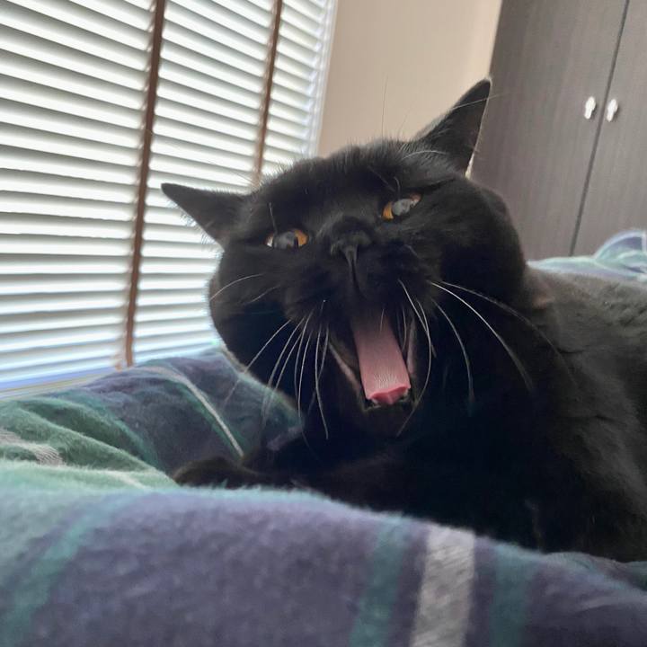 6bd7cf9a d507 4ee7 adde 9f32fe3584ba 1603930040331