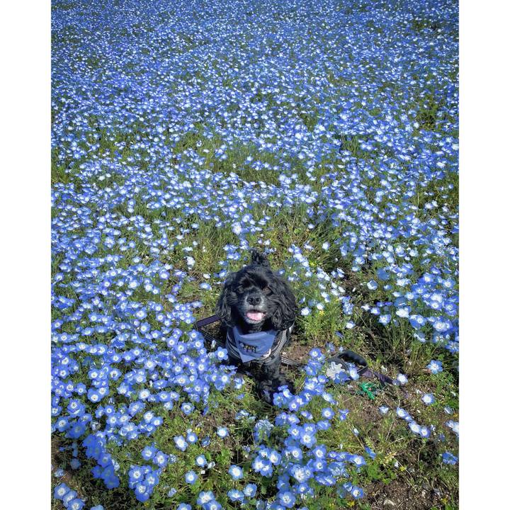 6bd7d631 3a8d 4559 8f54 137604d05cf8 1681644768374