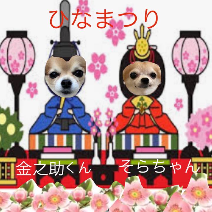 6bd816a1 6420 48ac a23c 1e77fcfc355e 1646292259689