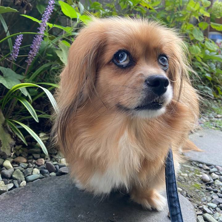 6bd854fb 3fce 40db 8d40 bb4bd12863db 1631742487015