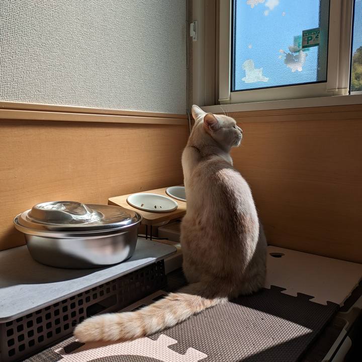 6bd87619 4fe2 4078 9efc a2b5be7e42c1 1684970520911