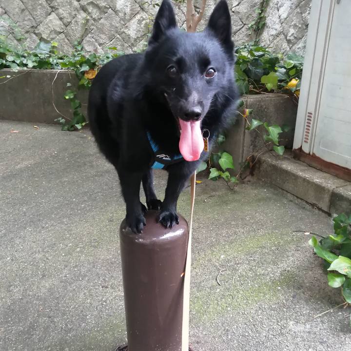 6bd87ac6 9e24 432d 9e90 d4d3aaeb32f1 1659604258771