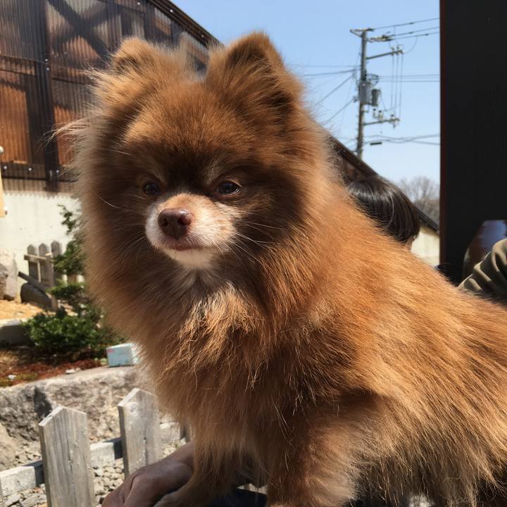 6bd88b60 08f9 4414 8888 e5906714be2d 1524317933377