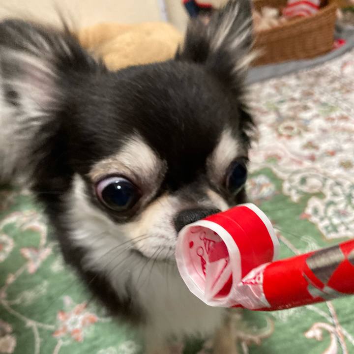 6bd8c45f 8228 489f 96a7 0fa9c0bf69bd 1658670252397