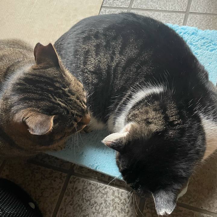 6bd8cf80 a031 4f44 8524 5963e2dda9e8 1610680076157