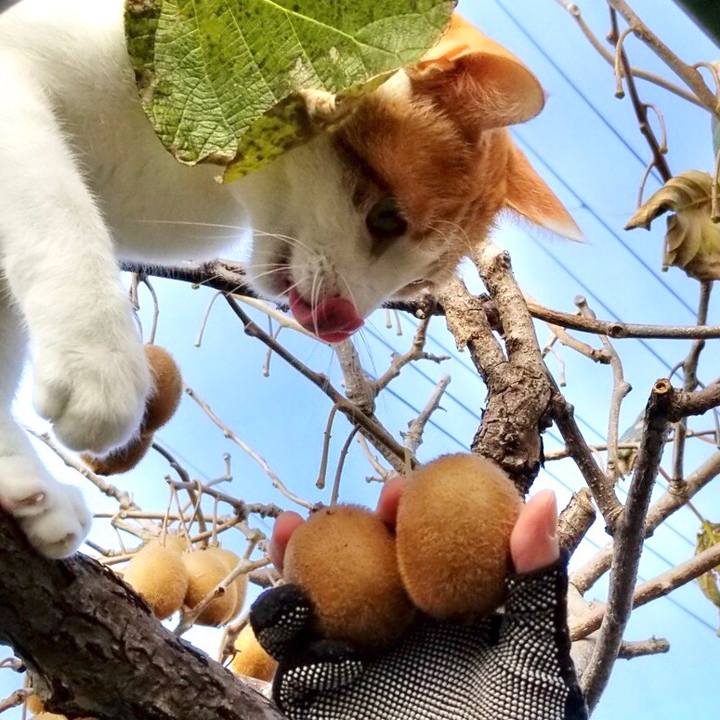 6bd8f82f b840 4084 8944 6810690e0ac2 1543796398429