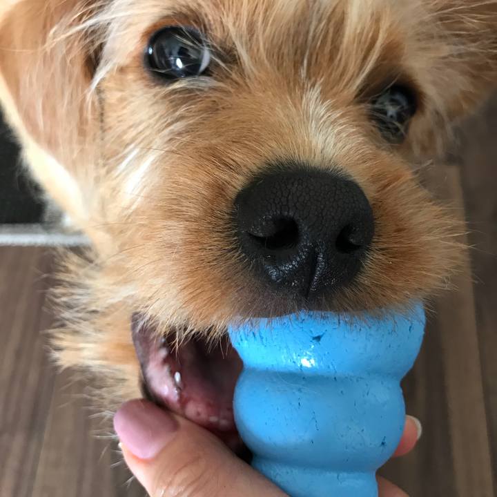 6bd8fd49 b5aa 48ee bae0 9b3c0eb4d31b 1522114287776