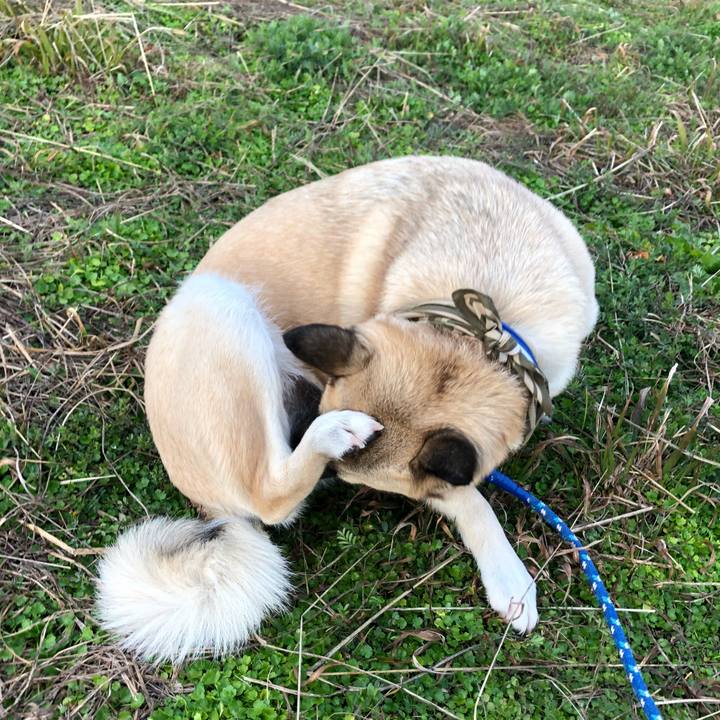 6bd905b4 45e8 420a a269 9f6b8cf69f62 1583236276552