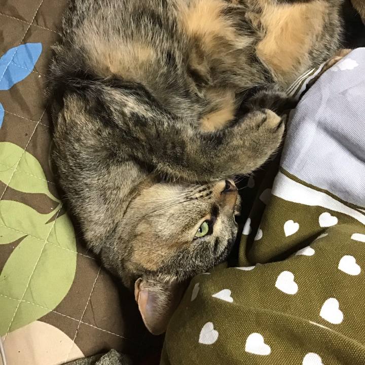 6bd90cc8 e091 4afd 9fbf bd1ead1dc58b 1615894901208