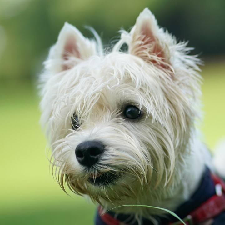 6bd9199c cb6a 4978 b519 bf0f566bb43d 1531448044211