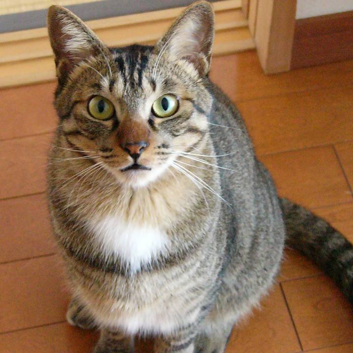 6bd936a6 bdee 4da4 8ada 30e89784e3fa 1542957521984