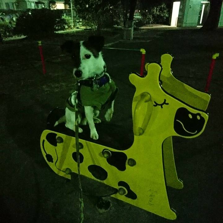 6bd93c53 7125 4bf3 bc7d d0a706258b00 1511092234898