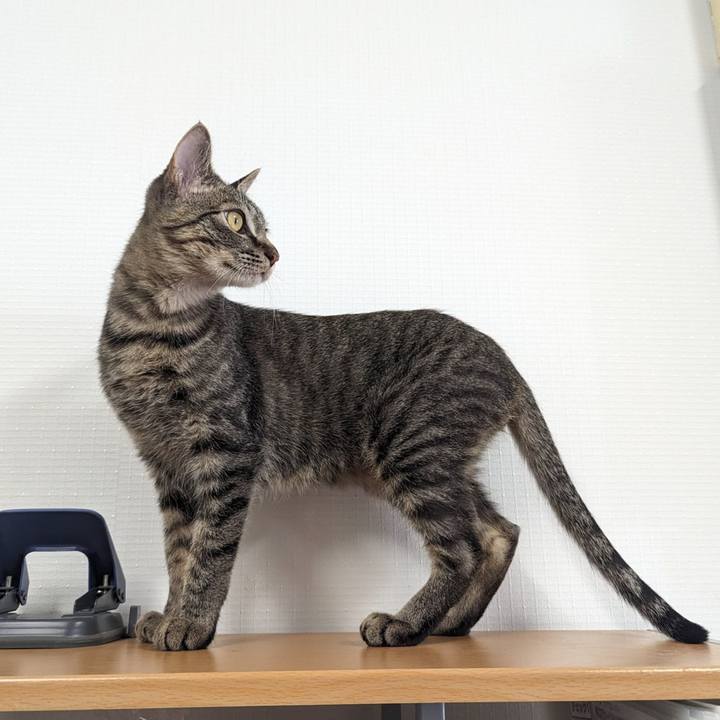 6bd95a24 fdaf 4ec6 8584 6d1e83ffdb7f 1710129446808