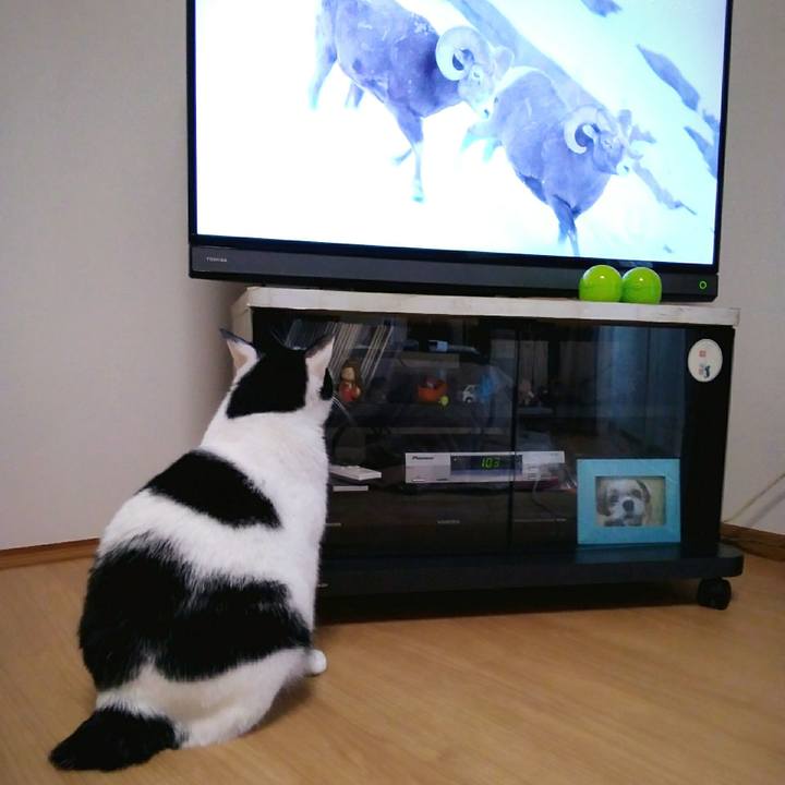 6bd9fdef 676d 4905 8fb9 8535494437aa 1549874614491