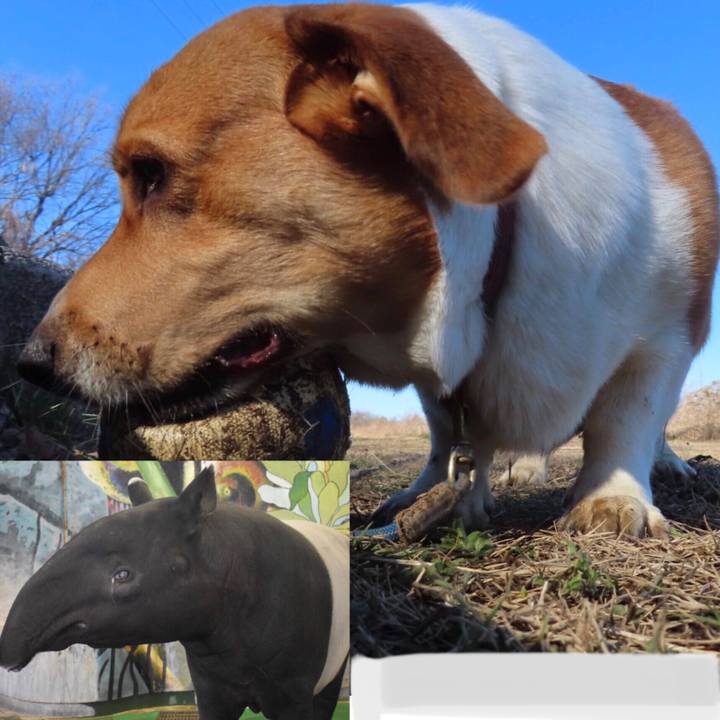 6bda034d ad02 41a2 a58f 68f389cd915a 1641095676230