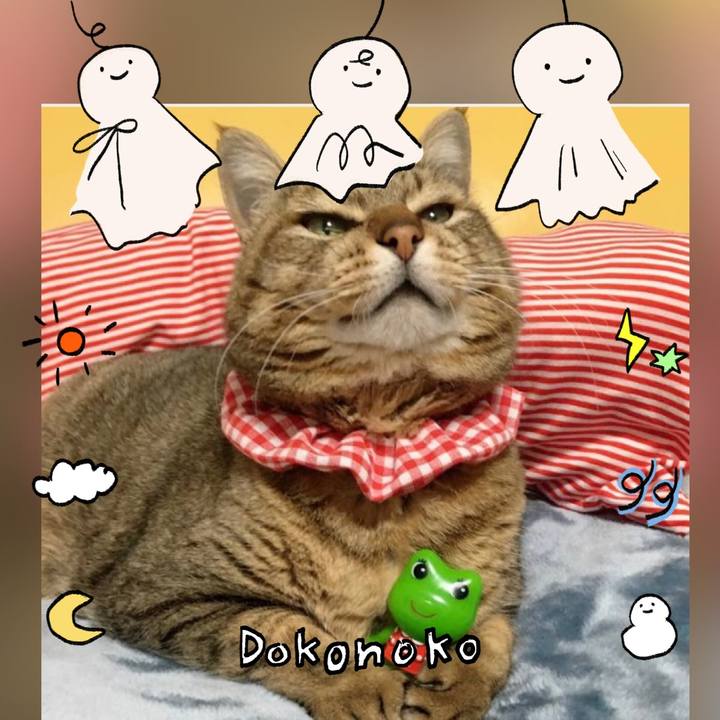 6bda0789 8aaa 466a bd24 b48968dfea5f 1749444888849