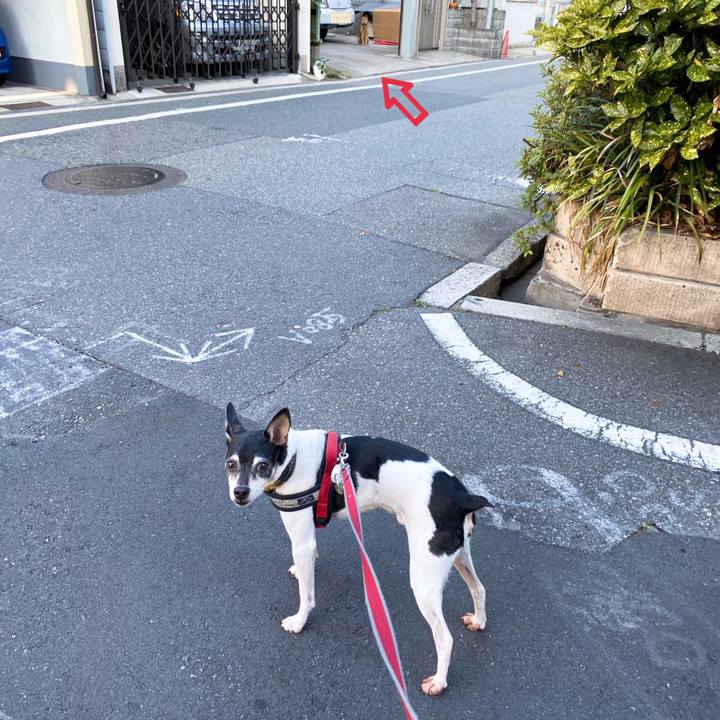 6bda1e01 5972 49ac 80b6 01b729a445e9 1591740993060