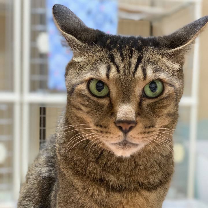 6bda8996 3ea3 46d7 8227 26609930d9ad 1562978256517