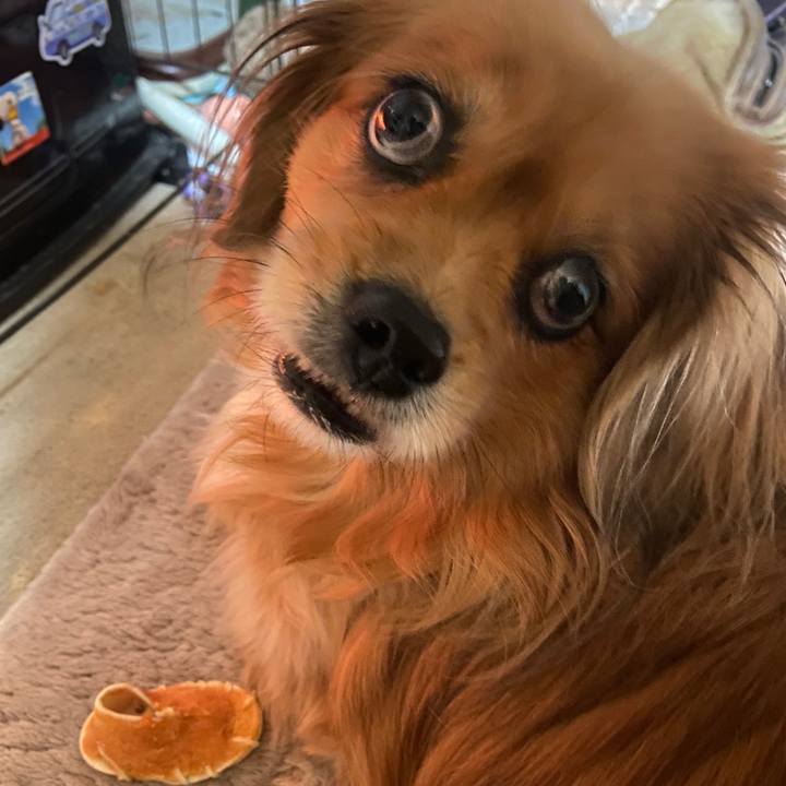 6bda91fa bf64 4b56 bc42 2593ed8bd3b3 1675459172354