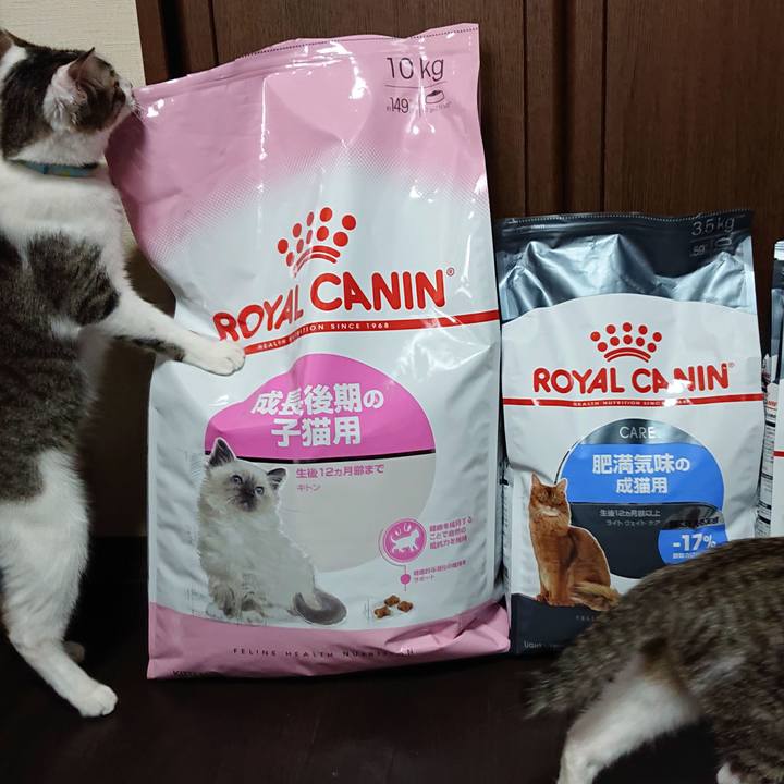 6bdac022 68f7 4732 baf1 219930e7f00d 1552184478350