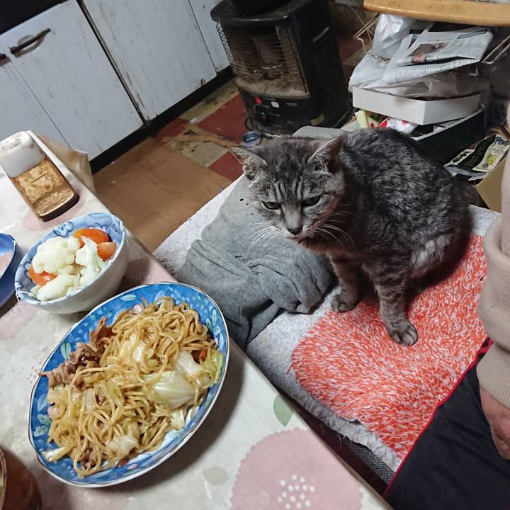 6bdaee5b d3fa 41e0 b018 cc34b1af7889 1573882629112