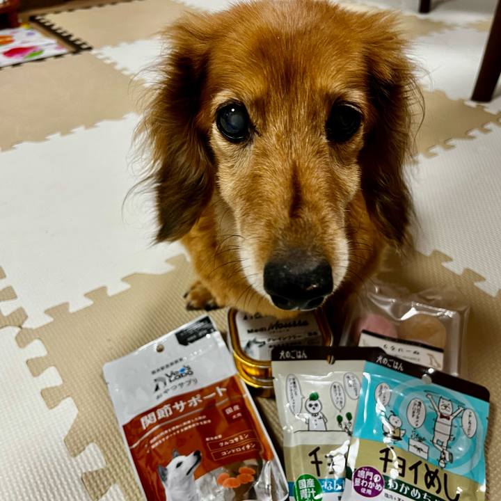 6bdaf292 2e74 4352 a18b e8784a9bd00b 1659009294494