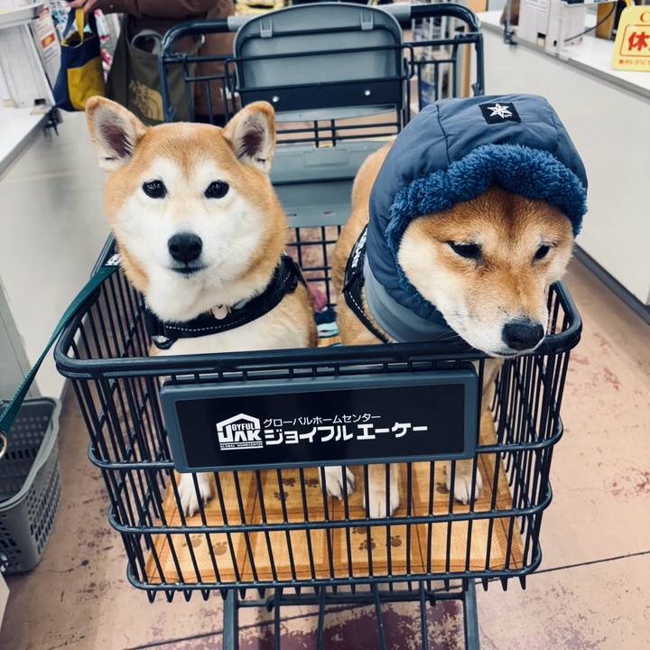 6bdb06d3 1c2b 47d5 8b89 e11923ef80de 1772319164715