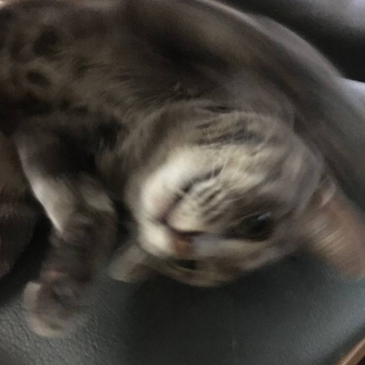 6bdb38de bb01 4e01 9fec 666ecaed74de 1574337042138