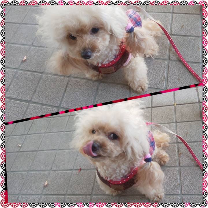 6bdb5136 1ef8 420c a810 c1a19741279d 1637325369311