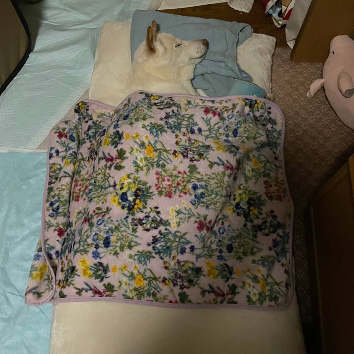 6bdb60b0 4f1b 4a2c 976a d4f9f1c8e5de 1641648843281