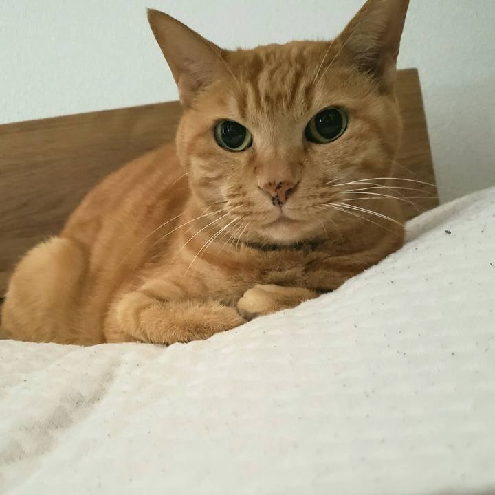 6bdb88a0 6623 4636 9a41 383dc5922fef 1717295176479