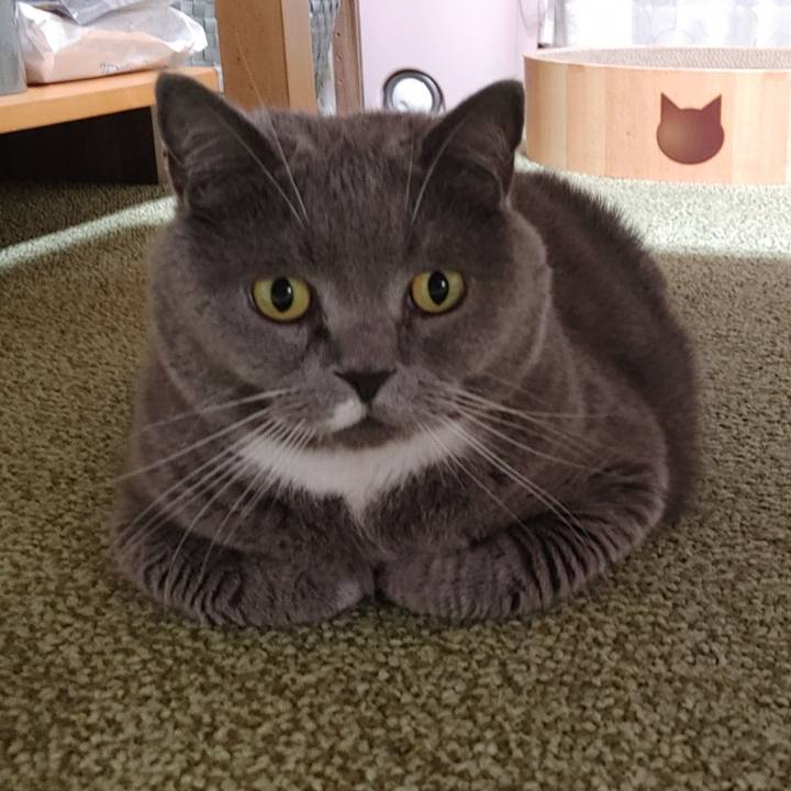 6bdb8fa5 19fe 4d0d 8fa5 aa1957a6cf57 1687599545181