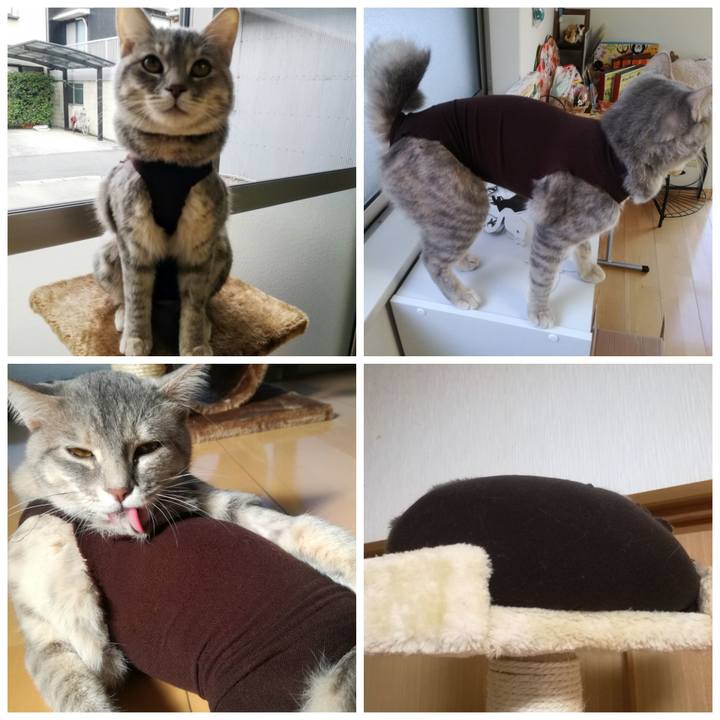 6bdba8be 1239 4a06 862c 01d5d024c222 1646369463226