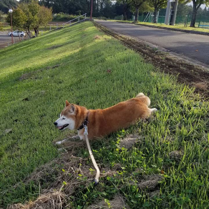 6bdbb11e 424a 47e0 95ee a31db9252993 1664088827176