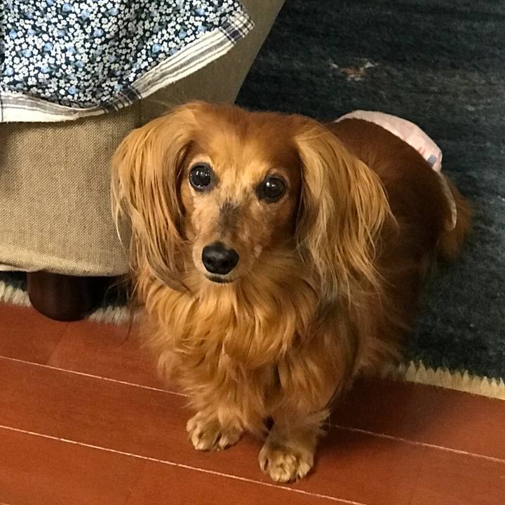 6bdbdc21 a9f6 4a6a a8b5 3636eee4c0f3 1587711099474