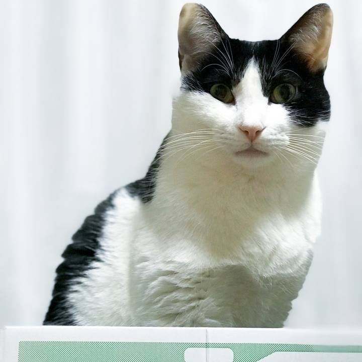 6bdbdd90 38a6 4b1e bd9d dcbbb6f244f8 1515415312158