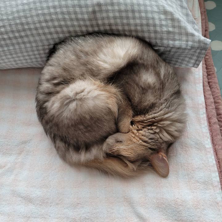 6bdbf719 23b0 4307 84a8 e8113882853b 1632191541337