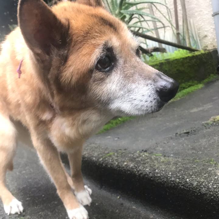 6bdc347f 6499 4941 b3bf ede0771b85f4 1563834509702