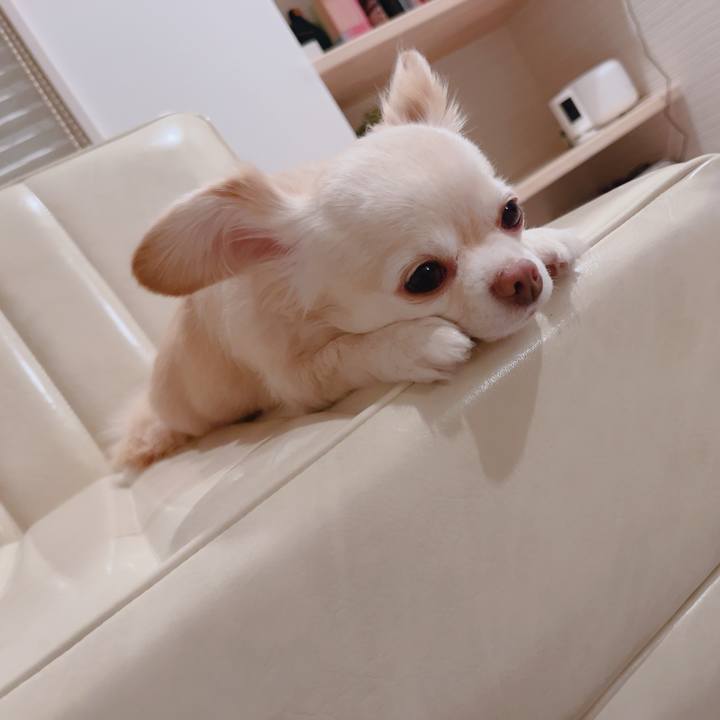 6bdc4384 11d7 4fec a38b 6d9663122127 1760788478568