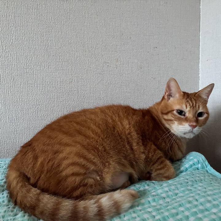 6bdc584a 11e1 4919 9ebc 75401e44426a 1755550674078