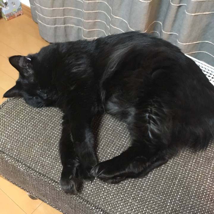 6bdca4a9 0f2b 4cc2 bc04 ebef93c325a6 1521026559609