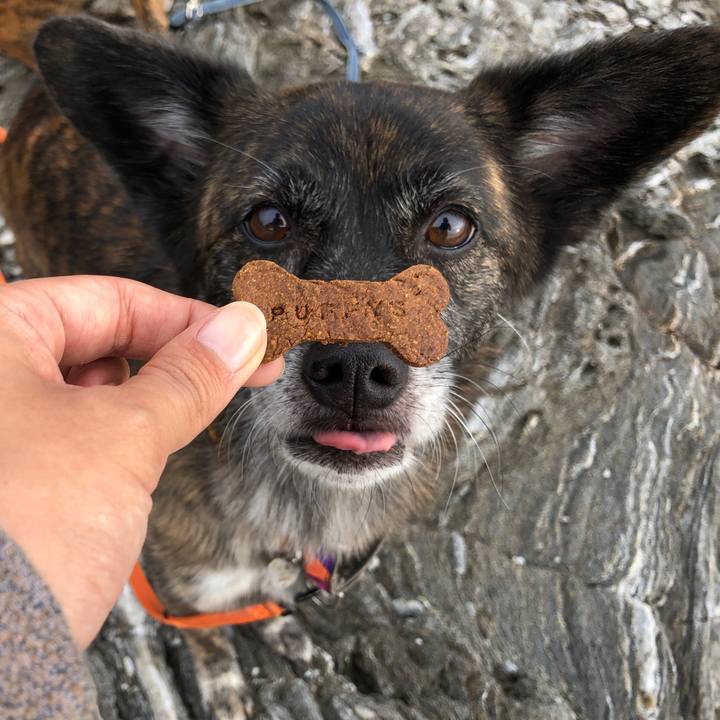 6bdcdff3 fc6b 41bf bcb6 9b6fe4862245 1571582306031