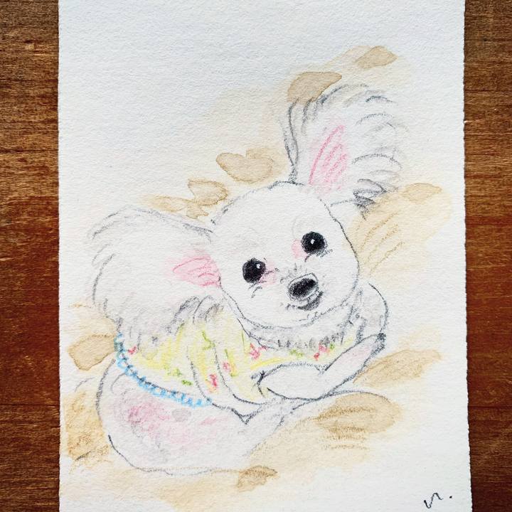 6bdd0aa7 557a 4f98 99f0 6e9d087ce1e5 1610150290170