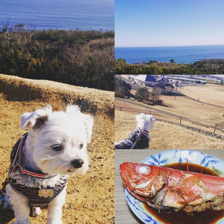 6bdd0be6 a351 4cff a88c 99494e8e61a4 1640869946483