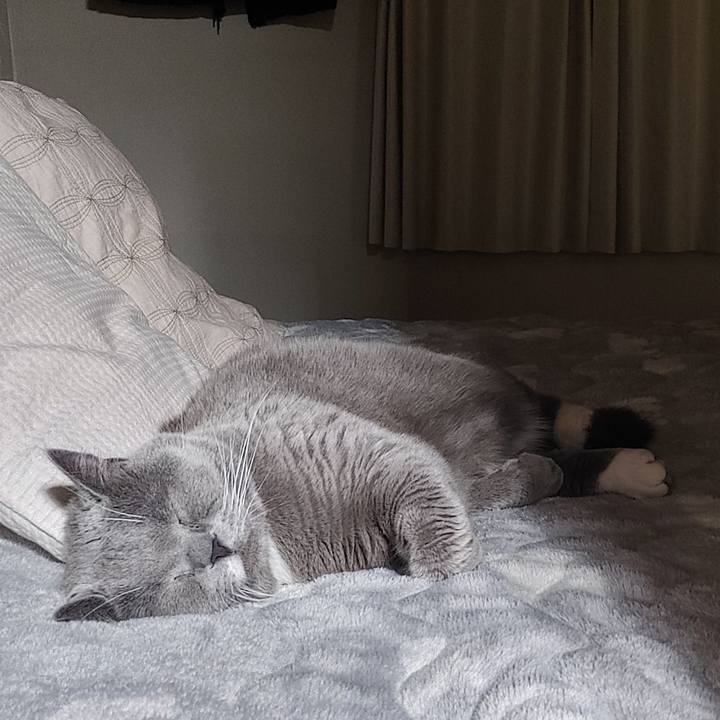 6bdd0ec4 e8a2 4b3d a841 5af3e32093d6 1645450631532